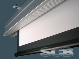 scbfig256x192.jpg