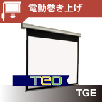 Electric type