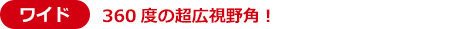 360度の超広視野角！
