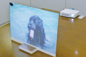 小型スクリーン